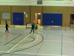 IMG-20240210-WA0002.jpg