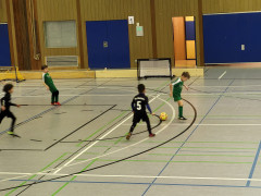 IMG-20240210-WA0012.jpg