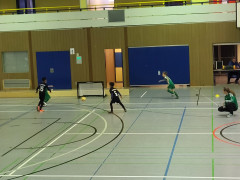 IMG-20240210-WA0011.jpg