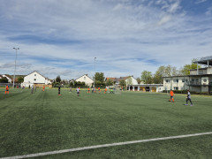 20240427_120428.jpg