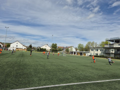 20240427_120425.jpg