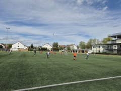 20240427_120456.jpg