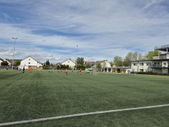 20240427_120855.jpg