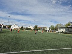20240427_120509(1).jpg