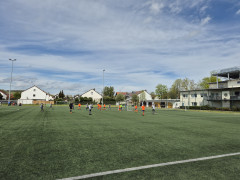 20240427_120458.jpg