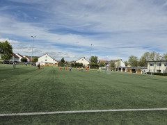20240427_120854.jpg