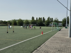 20240629_104807(0).jpg