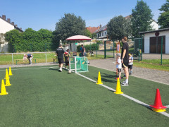 IMG-20240629-WA0008.jpg