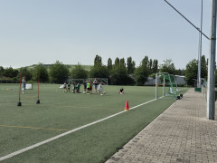 20240629_104738.jpg