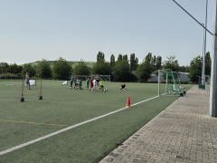 20240629_104806.jpg