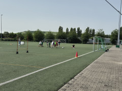 20240629_104736.jpg