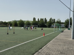 20240629_104807.jpg