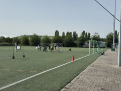 20240629_104737.jpg