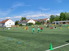 IMG-20240511-WA0013.jpg