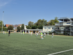 20240831_113653(1).jpg