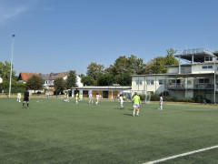 20240831_113652(0).jpg